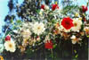 other04