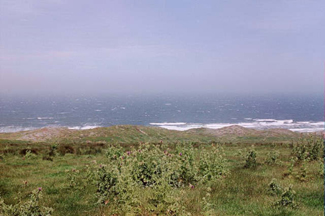 lh14