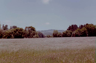 bv01