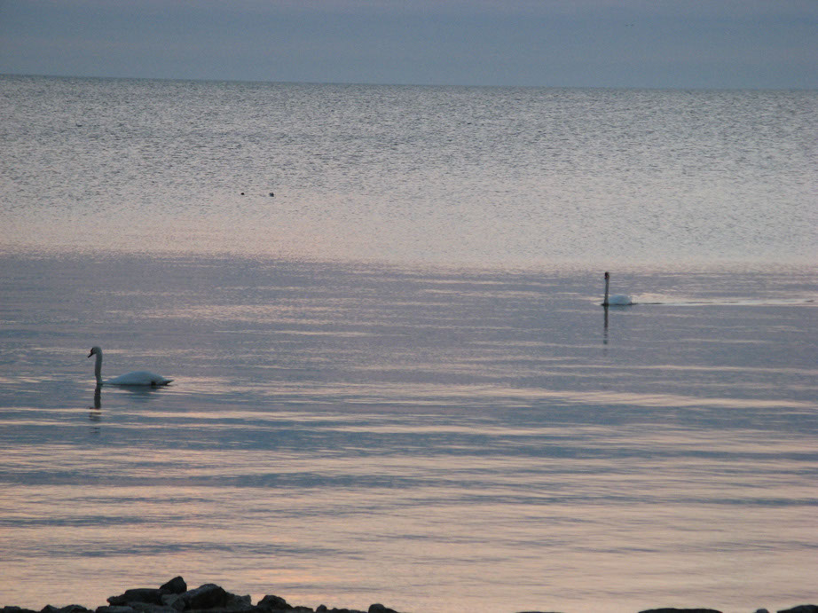 04_2012_38